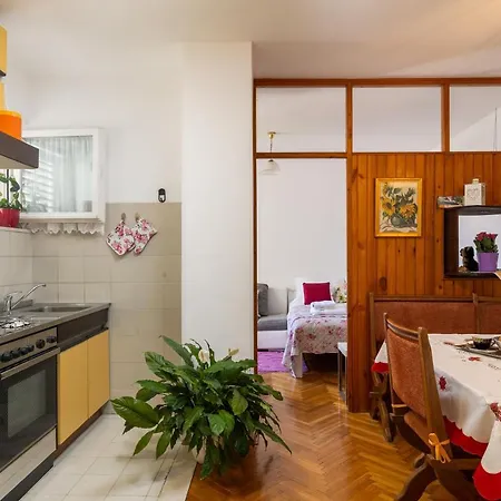 Studio Tomy Apartment Dubrovnik Exterior photo